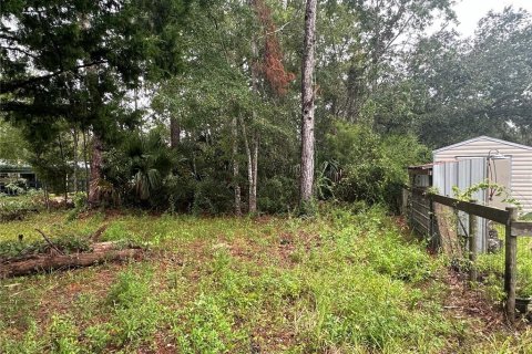 Terreno en venta en Steinhatchee, Florida № 1343339 - foto 4