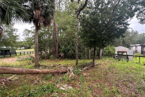 Terreno en venta en Steinhatchee, Florida № 1343339 - foto 1