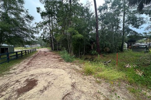 Terreno en venta en Steinhatchee, Florida № 1343339 - foto 5