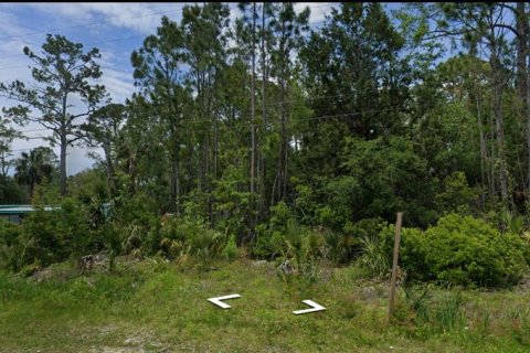 Terreno en venta en Steinhatchee, Florida № 1343340 - foto 4