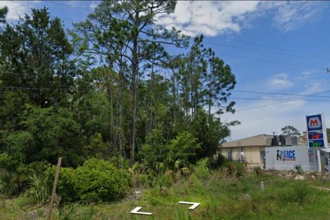 Terreno en venta en Steinhatchee, Florida № 1343340 - foto 5