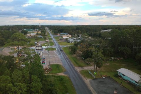 Land in Steinhatchee, Florida № 1343340 - photo 9