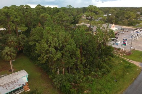 Terreno en venta en Steinhatchee, Florida № 1343340 - foto 1