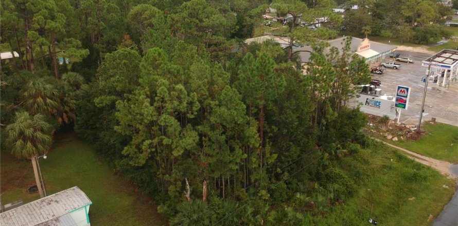 Terrain à Steinhatchee, Floride № 1343340