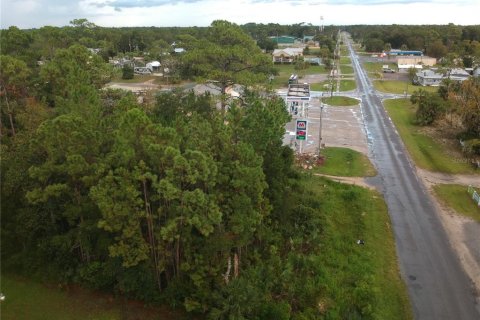 Terreno en venta en Steinhatchee, Florida № 1343340 - foto 6