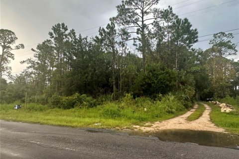 Terreno en venta en Steinhatchee, Florida № 1343340 - foto 7