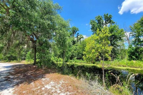 Land in White Springs, Florida № 1340787 - photo 2