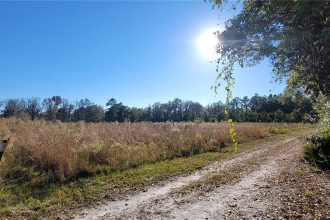 Land in White Springs, Florida № 1340787 - photo 8