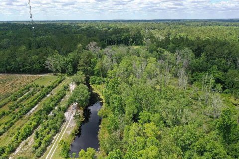 Land in White Springs, Florida № 1340787 - photo 1