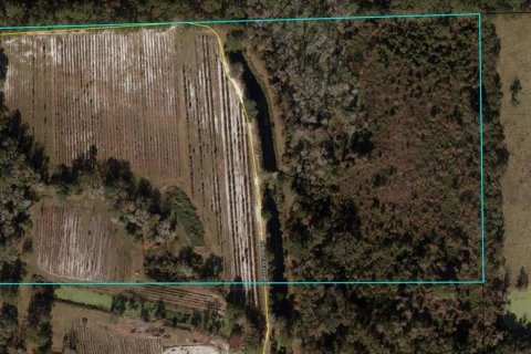 Land in White Springs, Florida № 1340787 - photo 3