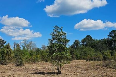 Land in White Springs, Florida № 1340787 - photo 16