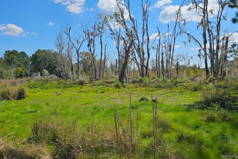 Land in White Springs, Florida № 1340787 - photo 15