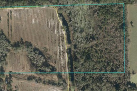 Land in White Springs, Florida № 1340787 - photo 4