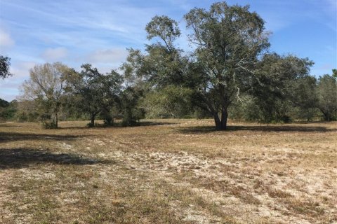 Land in Okeechobee, Florida № 1024737 - photo 2