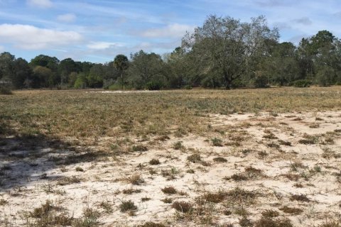 Land in Okeechobee, Florida № 1024737 - photo 6