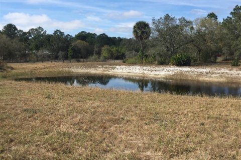 Land in Okeechobee, Florida № 1024737 - photo 11