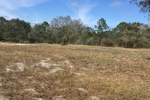 Land in Okeechobee, Florida № 1024737 - photo 1