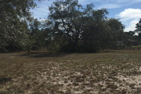 Land in Okeechobee, Florida № 1024737 - photo 5