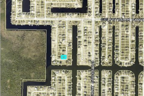 Terreno en venta en Cape Coral, Florida № 1424529 - foto 2