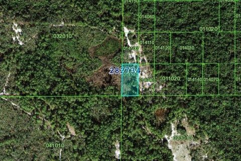 Land in Poinciana, Florida № 1306719 - photo 3