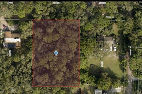 Land in Mount Dora, Florida № 1306626 - photo 1