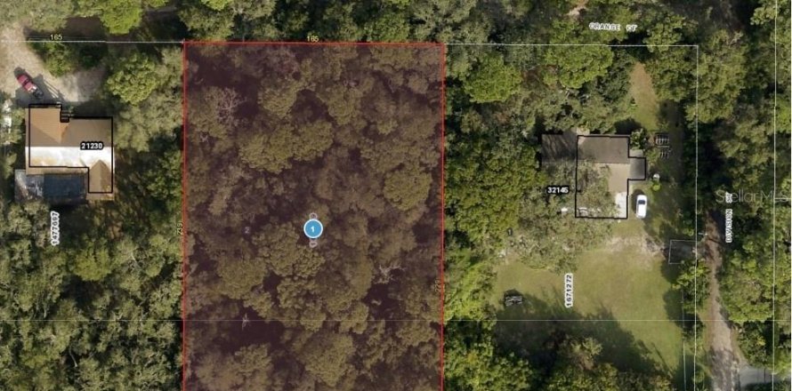 Land in Mount Dora, Florida № 1306626