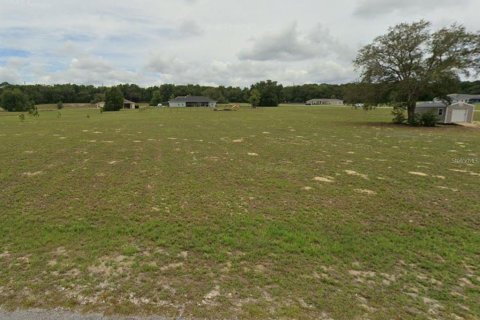 Terreno en venta en Hernando, Florida № 1429021 - foto 3