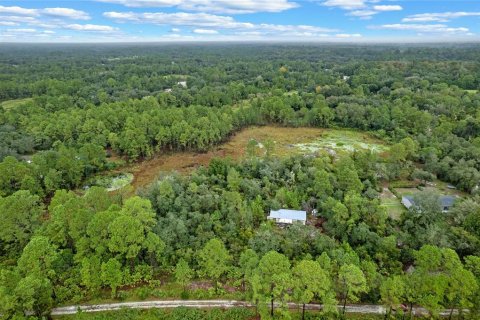 Terreno en venta en Eustis, Florida № 1397293 - foto 14