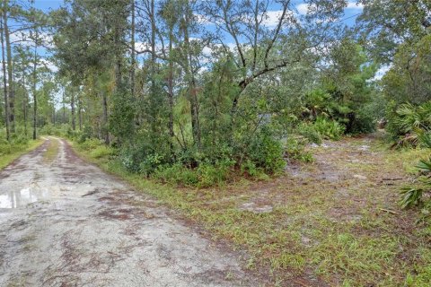 Terreno en venta en Eustis, Florida № 1397293 - foto 5