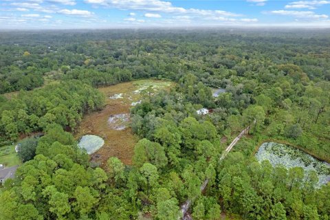 Terreno en venta en Eustis, Florida № 1397293 - foto 7