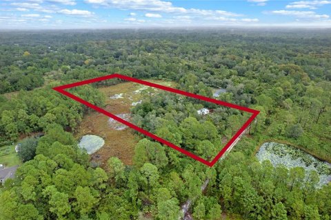 Terreno en venta en Eustis, Florida № 1397293 - foto 2