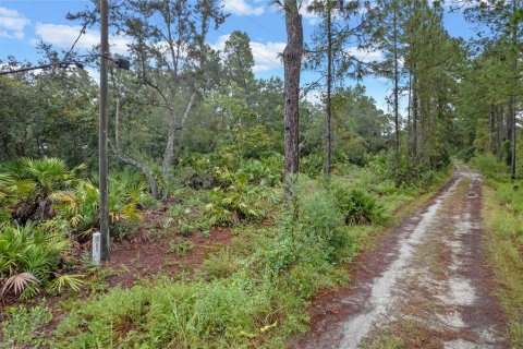 Terreno en venta en Eustis, Florida № 1397293 - foto 6