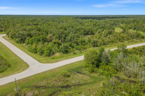 Terreno en venta en Myakka City, Florida № 1297656 - foto 8