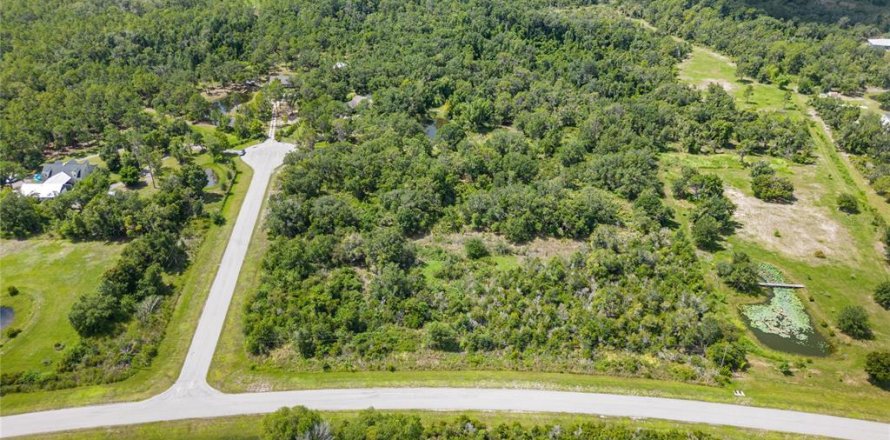 Terreno en Myakka City, Florida № 1297656