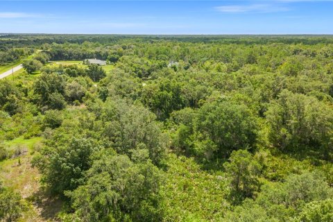 Terrain à vendre à Myakka City, Floride № 1297656 - photo 5