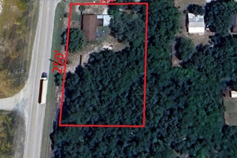 Commercial property in DeLand, Florida 152.82 sq.m. № 1247919 - photo 4