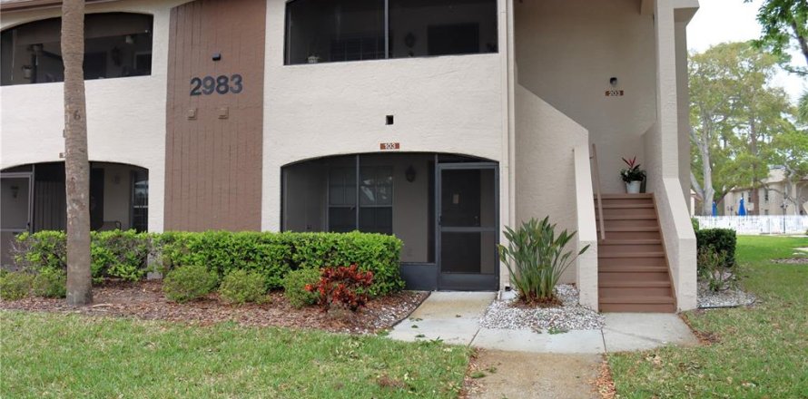 Condo in Palm Harbor, Florida, 2 bedrooms  № 1373849