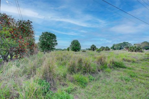 Terreno en venta en Sebring, Florida № 1074511 - foto 3