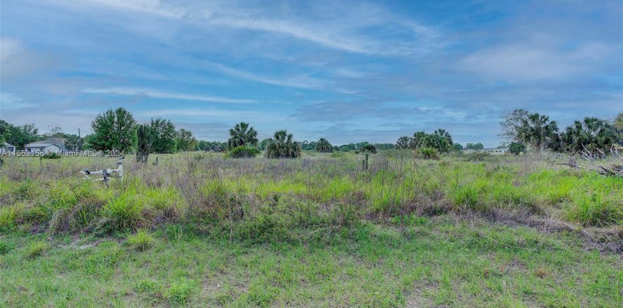 Land in Sebring, Florida № 1074511