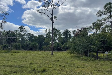 Land in Loxahatchee Groves, Florida № 1017576 - photo 25
