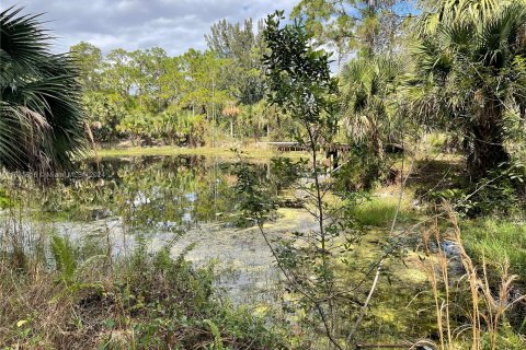 Land in Loxahatchee Groves, Florida № 1017576 - photo 23
