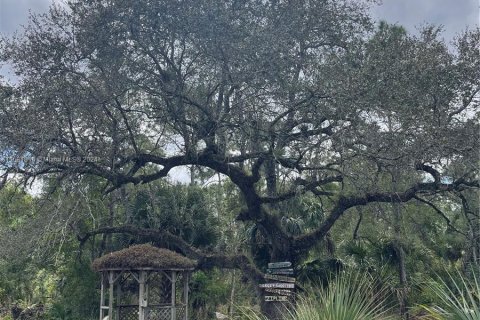 Land in Loxahatchee Groves, Florida № 1017576 - photo 27