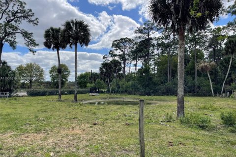 Terrain à vendre à Loxahatchee Groves, Floride № 1017576 - photo 29
