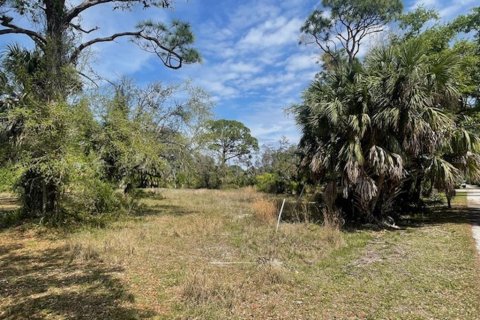 Terrain à vendre à Port Charlotte, Floride № 1055767 - photo 5