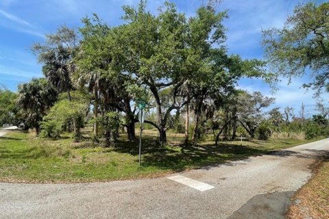 Terreno en venta en Port Charlotte, Florida № 1055767 - foto 3