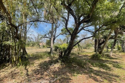 Land in Port Charlotte, Florida № 1055767 - photo 4