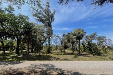 Terreno en venta en Port Charlotte, Florida № 1055767 - foto 6