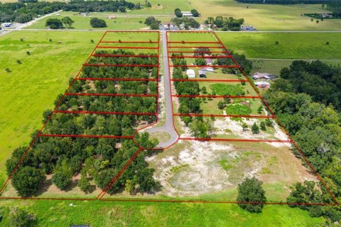 Terreno en venta en Dade City, Florida № 1352890 - foto 4