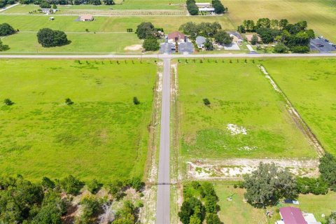 Land in Dade City, Florida № 1352890 - photo 1