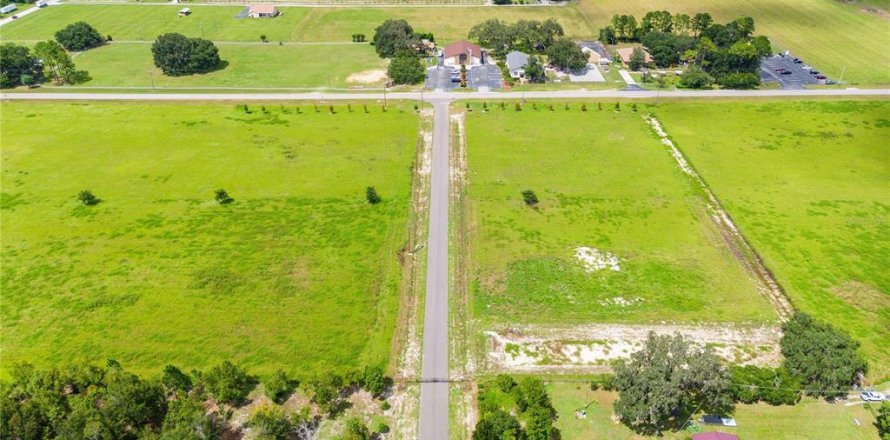 Terrain à Dade City, Floride № 1352890